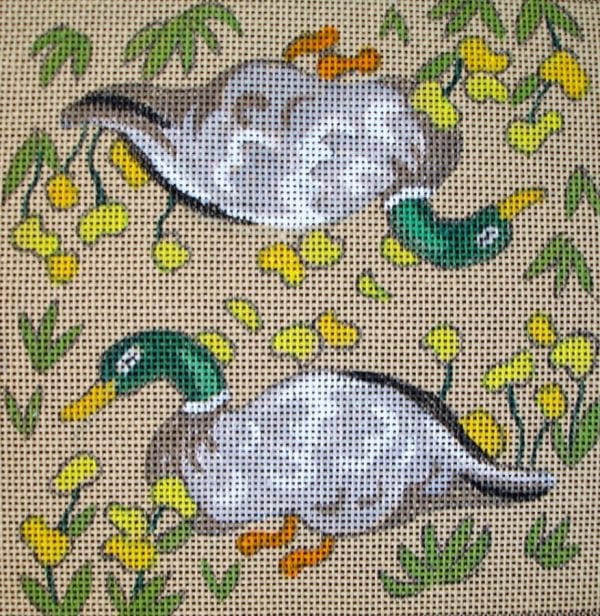 Canard petit format
