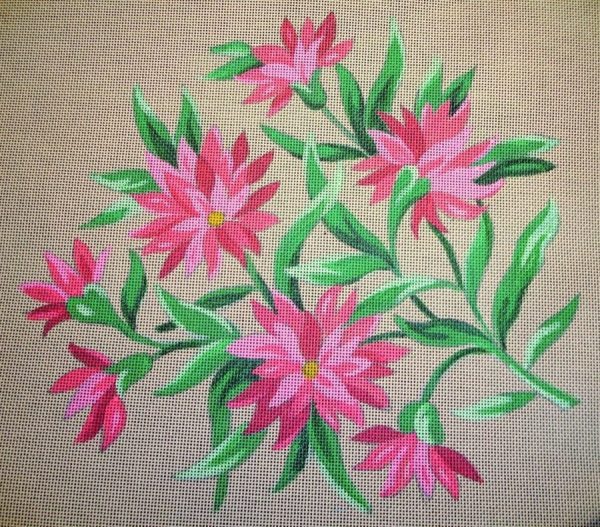 Pavots roses