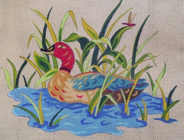 Canard dans roseaux