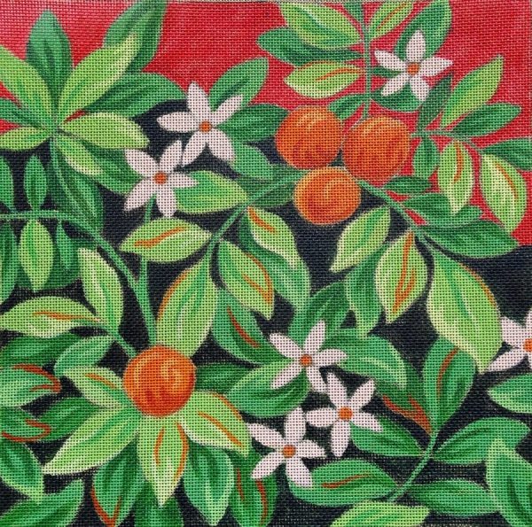 Carre Oranges