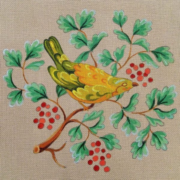Oiseau fruits rouges
